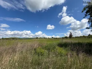 Prodej pozemku pro bydlení, Skršín, 902 m2