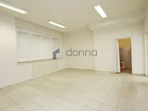 Pronájem obchodního prostoru, Praha, Štěpánská, 81 m2