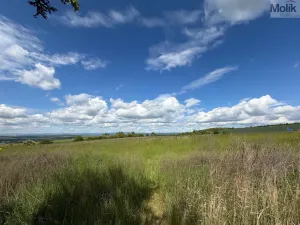 Prodej pozemku pro bydlení, Skršín, 962 m2