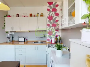 Prodej bytu 2+1, Kralupy nad Vltavou, sídl. Hůrka, 63 m2