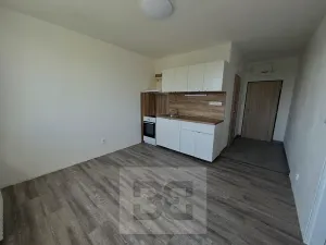 Pronájem bytu 1+1, Písek, třída Přátelství, 36 m2