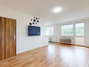 Prodej bytu 1+1, Most, Brněnská, 34 m2