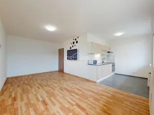 Prodej bytu 1+1, Most, Brněnská, 34 m2