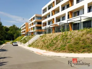 Pronájem bytu 1+kk, Plzeň - Východní Předměstí, Kartónová, 35 m2