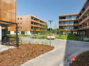 Pronájem bytu 1+kk, Plzeň - Východní Předměstí, Kartónová, 35 m2