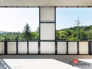 Pronájem bytu 1+kk, Plzeň - Východní Předměstí, Kartónová, 35 m2