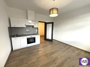 Pronájem bytu 1+kk, Písek, Vladislavova, 24 m2