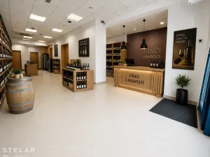 Pronájem obchodního prostoru, Hlučín, Mírové náměstí, 127 m2