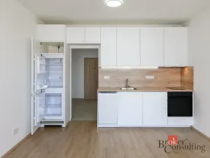 Pronájem bytu 1+kk, Plzeň - Jižní Předměstí, Železná, 31 m2