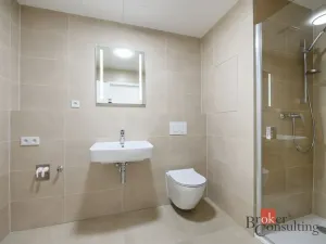 Pronájem bytu 1+kk, Plzeň - Jižní Předměstí, Železná, 31 m2
