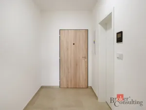 Pronájem bytu 1+kk, Plzeň - Jižní Předměstí, Železná, 31 m2