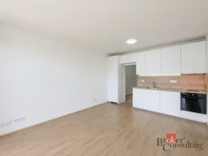 Pronájem bytu 1+kk, Plzeň - Jižní Předměstí, Železná, 31 m2