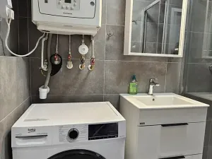 Pronájem bytu 2+1, Brno, Cejl, 53 m2