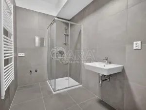 Prodej bytu 3+kk, Brno - Židenice, Bubeníčkova, 90 m2