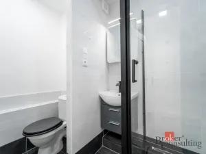 Pronájem bytu 1+1, Brno - Staré Brno, Veletržní, 38 m2