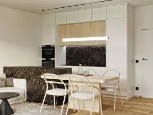 Prodej bytu 2+kk, Opava, Husova, 60 m2