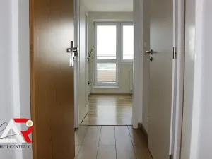 Pronájem bytu 1+kk, Brno, Hostinského, 30 m2