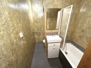 Pronájem bytu 1+1, Ostrava, Lumírova, 38 m2