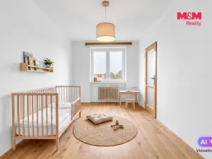 Prodej bytu 3+1, Vysoké Mýto - Pražské Předměstí, Rašínova, 62 m2