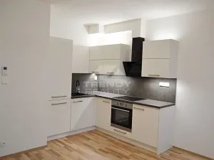 Pronájem bytu 1+kk, Plzeň, Nemocniční, 29 m2