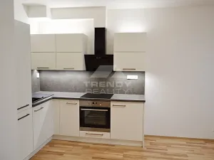 Pronájem bytu 1+kk, Plzeň, Nemocniční, 29 m2