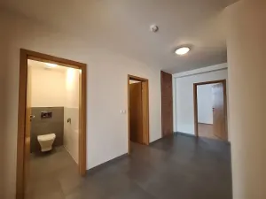 Pronájem bytu 3+kk, Praha - Nusle, Jaurisova, 83 m2