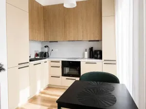 Pronájem bytu 1+kk, Praha - Chodov, Šternovská, 30 m2