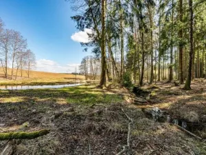 Prodej komerčního pozemku, Zbraslavice - Rápošov, 13515 m2