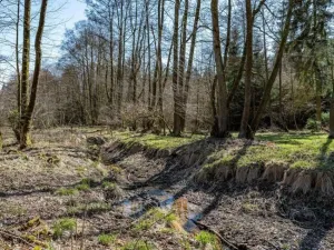 Prodej komerčního pozemku, Zbraslavice - Rápošov, 13515 m2