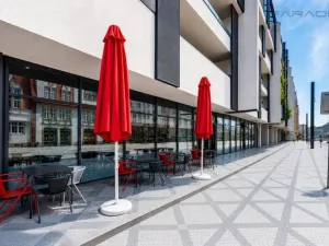 Prodej obchodního prostoru, Praha - Nusle, Nuselská, 303 m2