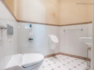 Pronájem bytu 3+1, Praha - Josefov, Široká, 154 m2