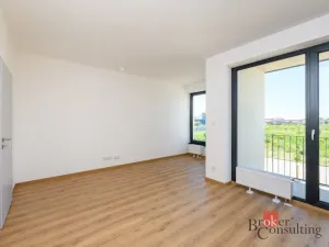 Pronájem bytu 1+kk, Plzeň - Jižní Předměstí, Železná, 29 m2
