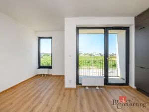 Pronájem bytu 1+kk, Plzeň - Jižní Předměstí, Železná, 29 m2