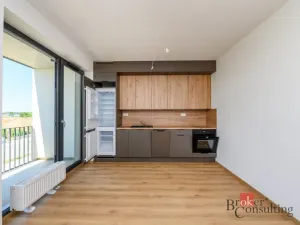 Pronájem bytu 1+kk, Plzeň - Jižní Předměstí, Železná, 29 m2