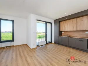Pronájem bytu 1+kk, Plzeň - Jižní Předměstí, Železná, 29 m2