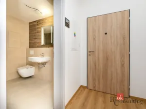 Pronájem bytu 1+kk, Plzeň - Jižní Předměstí, Železná, 29 m2