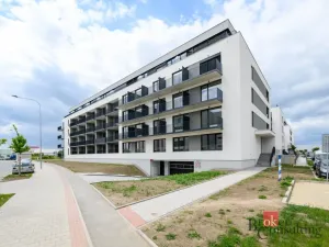 Pronájem bytu 1+kk, Plzeň - Jižní Předměstí, Železná, 29 m2