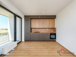 Pronájem bytu 1+kk, Plzeň - Jižní Předměstí, Železná, 29 m2