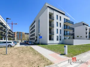 Pronájem bytu 1+kk, Plzeň - Jižní Předměstí, Železná, 29 m2