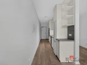 Pronájem bytu 1+kk, Plzeň - Východní Předměstí, 30 m2