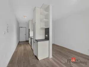 Pronájem bytu 1+kk, Plzeň - Východní Předměstí, 30 m2
