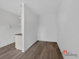 Pronájem bytu 1+kk, Plzeň - Východní Předměstí, 30 m2