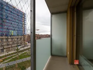 Pronájem bytu 1+kk, Plzeň - Východní Předměstí, 30 m2