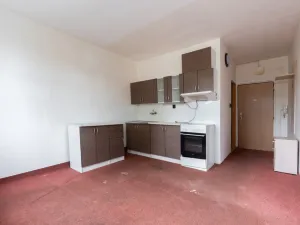 Prodej bytu 1+1, Litvínov - Horní Litvínov, Mostecká, 35 m2