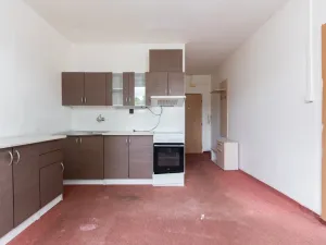 Prodej bytu 1+1, Litvínov - Horní Litvínov, Mostecká, 35 m2