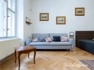 Pronájem bytu 5+kk, Praha - Nové Město, Gorazdova, 110 m2