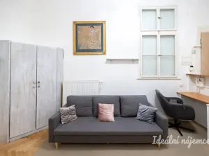 Pronájem bytu 5+kk, Praha - Nové Město, Gorazdova, 110 m2
