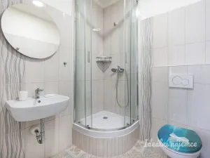 Pronájem bytu 4+1, Praha - Nové Město, Gorazdova, 110 m2