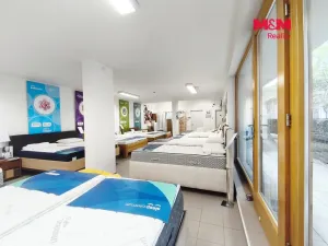 Pronájem obchodního prostoru, Praha, Drahobejlova, 172 m2