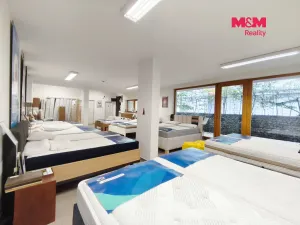 Pronájem obchodního prostoru, Praha, Drahobejlova, 172 m2